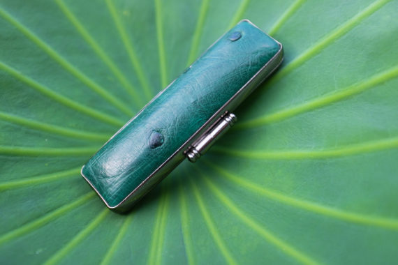 ostrich-case-green