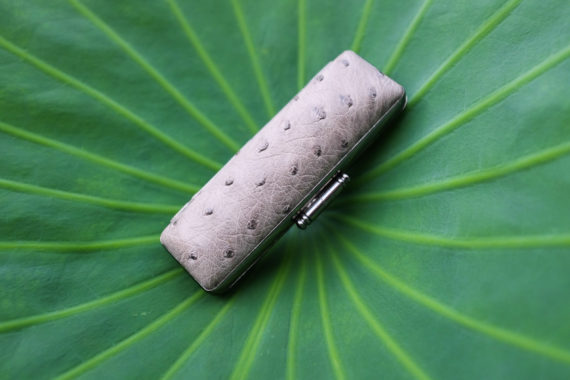 ostrich-case-grey