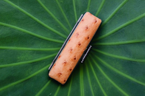 ostrich-case-tan