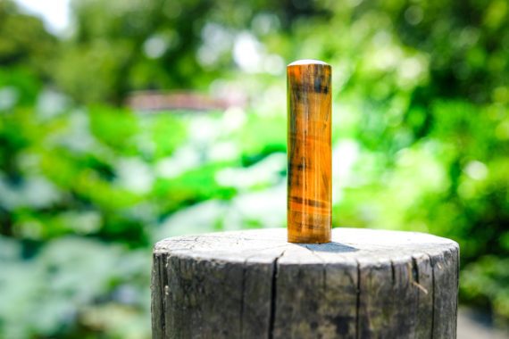 tigerseye01