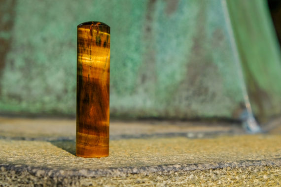 tigerseye02
